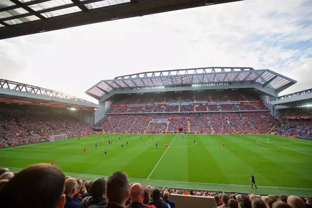 病报告包括 病报告包括