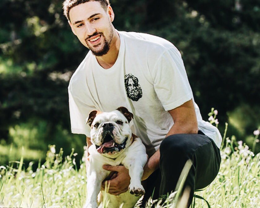 以数据驱动 以数据驱动